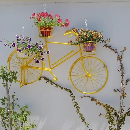 Luxury Traditional The Small Bookstore 3*