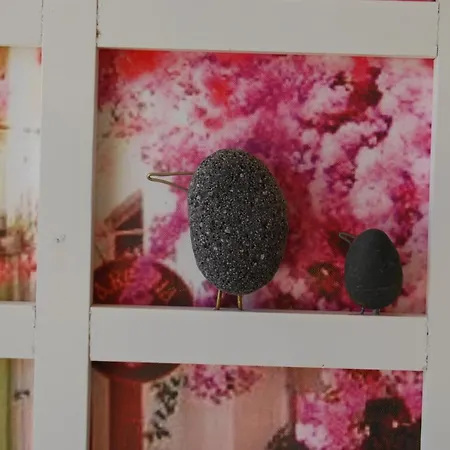 Luxury Traditional The Small Bookstore 3*