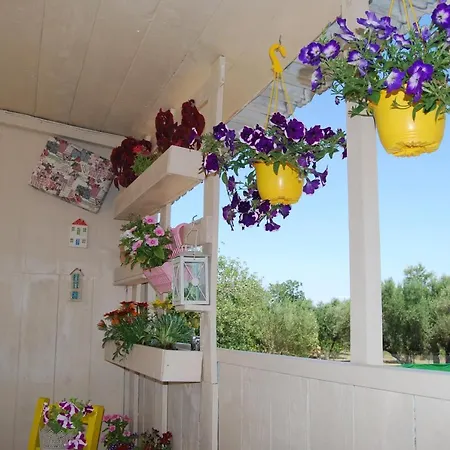 Luxury Traditional The Small Bookstore 招待所 3*