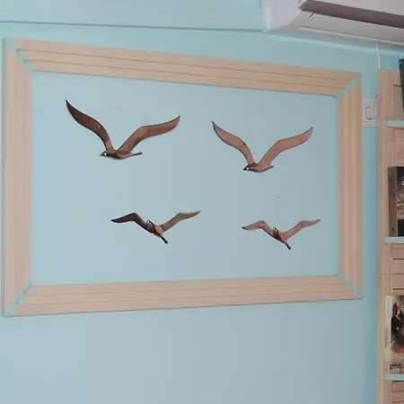 Luxury Traditional The Small Bookstore