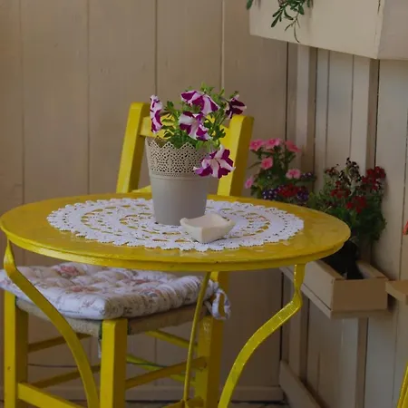 Luxury Traditional The Small Bookstore 招待所 3*