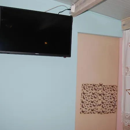 Luxury Traditional The Small Bookstore