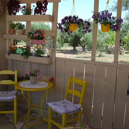 Luxury Traditional The Small Bookstore Guest house