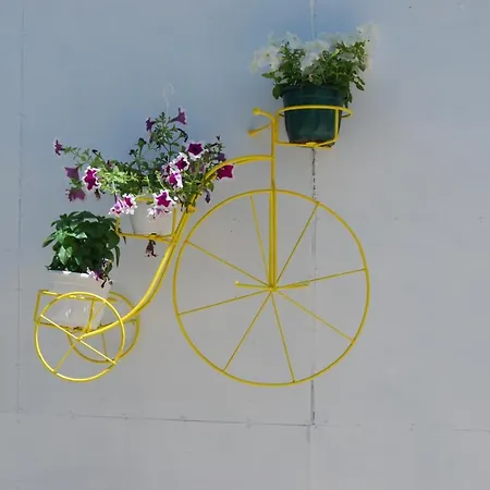 Luxury Traditional The Small Bookstore 3* Kastro-Kyllini