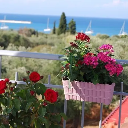 招待所 Luxury Traditional The Small Bookstore