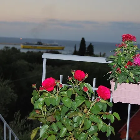 Guest house Luxury Traditional The Small Bookstore Kastro-Kyllini