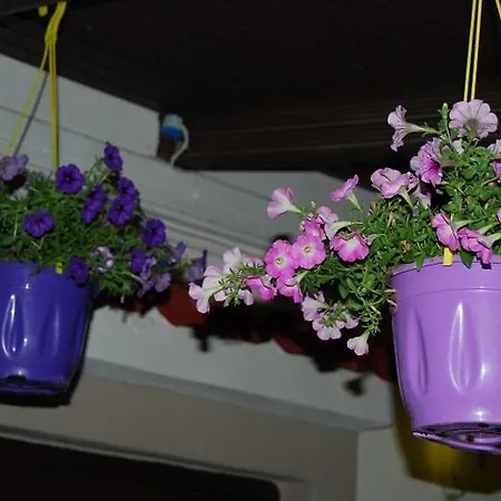 Luxury Traditional The Small Bookstore Konukevi Kastro-Kyllini