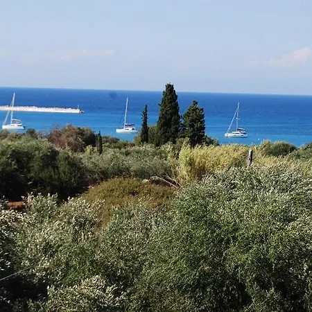 招待所 Luxury Traditional The Small Bookstore