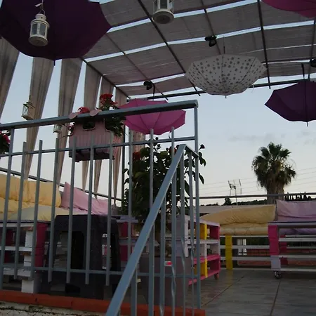 Luxury Traditional The Small Bookstore 3*