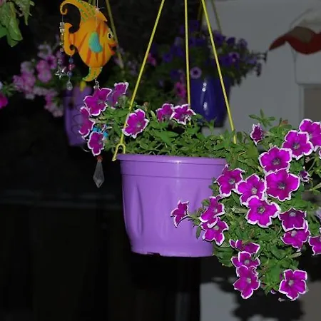 Konukevi Luxury Traditional The Small Bookstore 3*