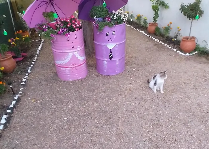 Luxury Traditional The Small Bookstore