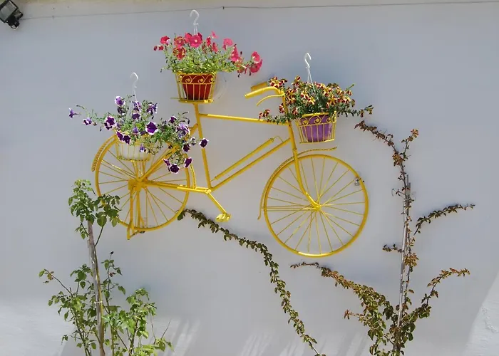 Luxury Traditional The Small Bookstore 3*