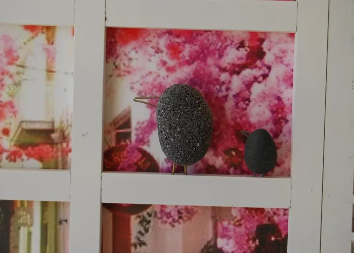 Luxury Traditional The Small Bookstore 3*