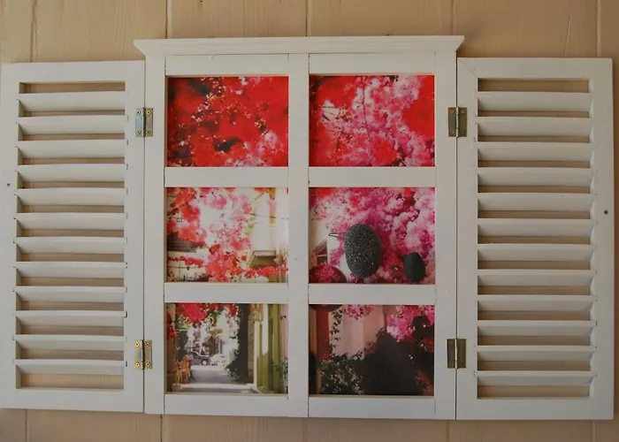 Luxury Traditional The Small Bookstore Gasthuis