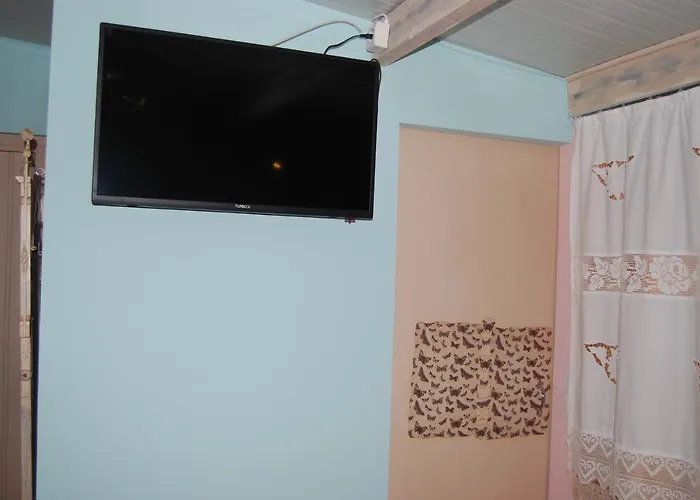 Luxury Traditional The Small Bookstore