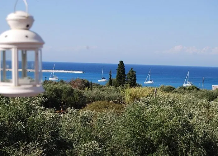 Luxury Traditional The Small Bookstore