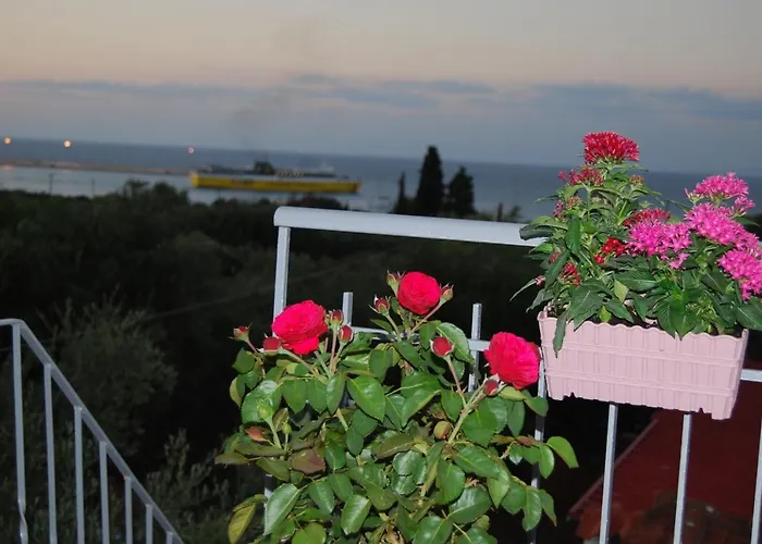 Gasthuis Luxury Traditional The Small Bookstore Kastro-Kyllini