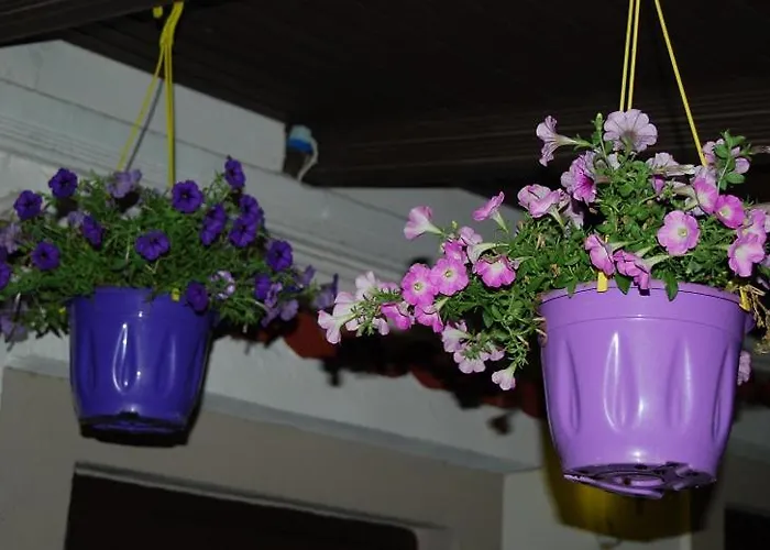 Luxury Traditional The Small Bookstore Gasthuis Kastro-Kyllini