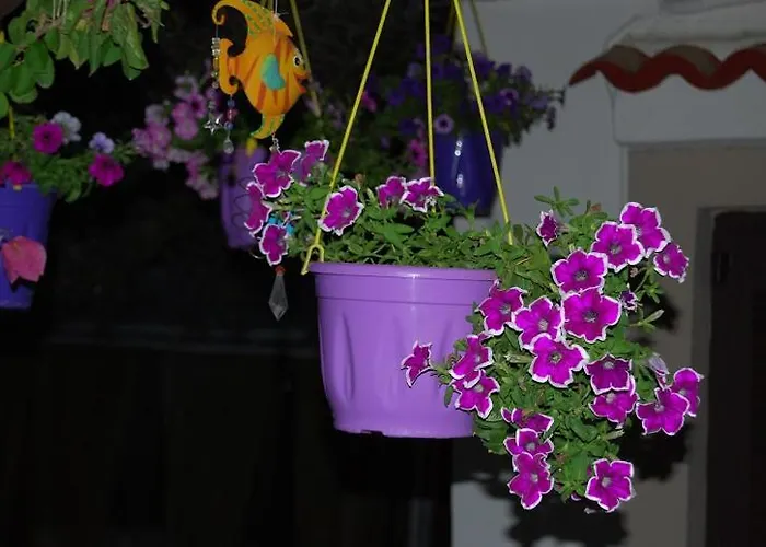 Casa de hóspedes Luxury Traditional The Small Bookstore 3*